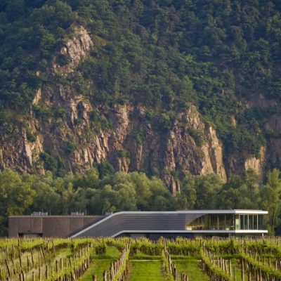 Weingut FX Pichler6